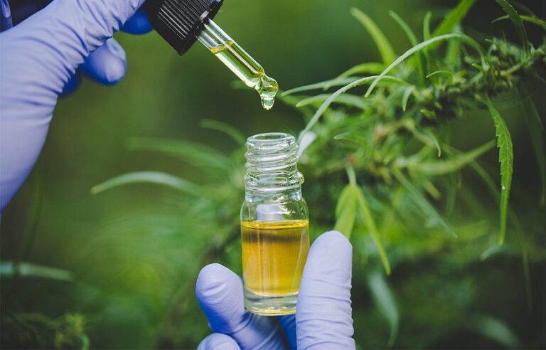 CBD in Modern Healthcare: Critical Attributes Driving Specialized Impact